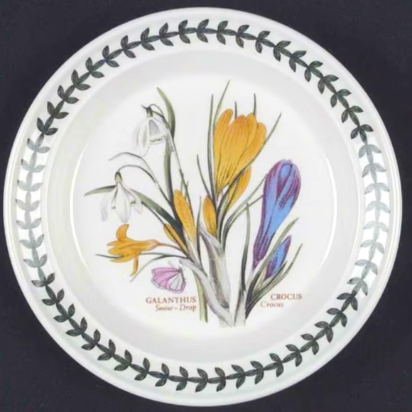 2 Portmeirion dinner plates 10.5” in 1.5” deep pasta GALANTHUS CROCUS England - Picture 3 of 12